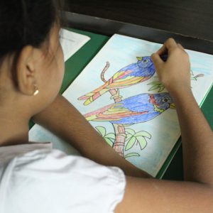 Art & Craft